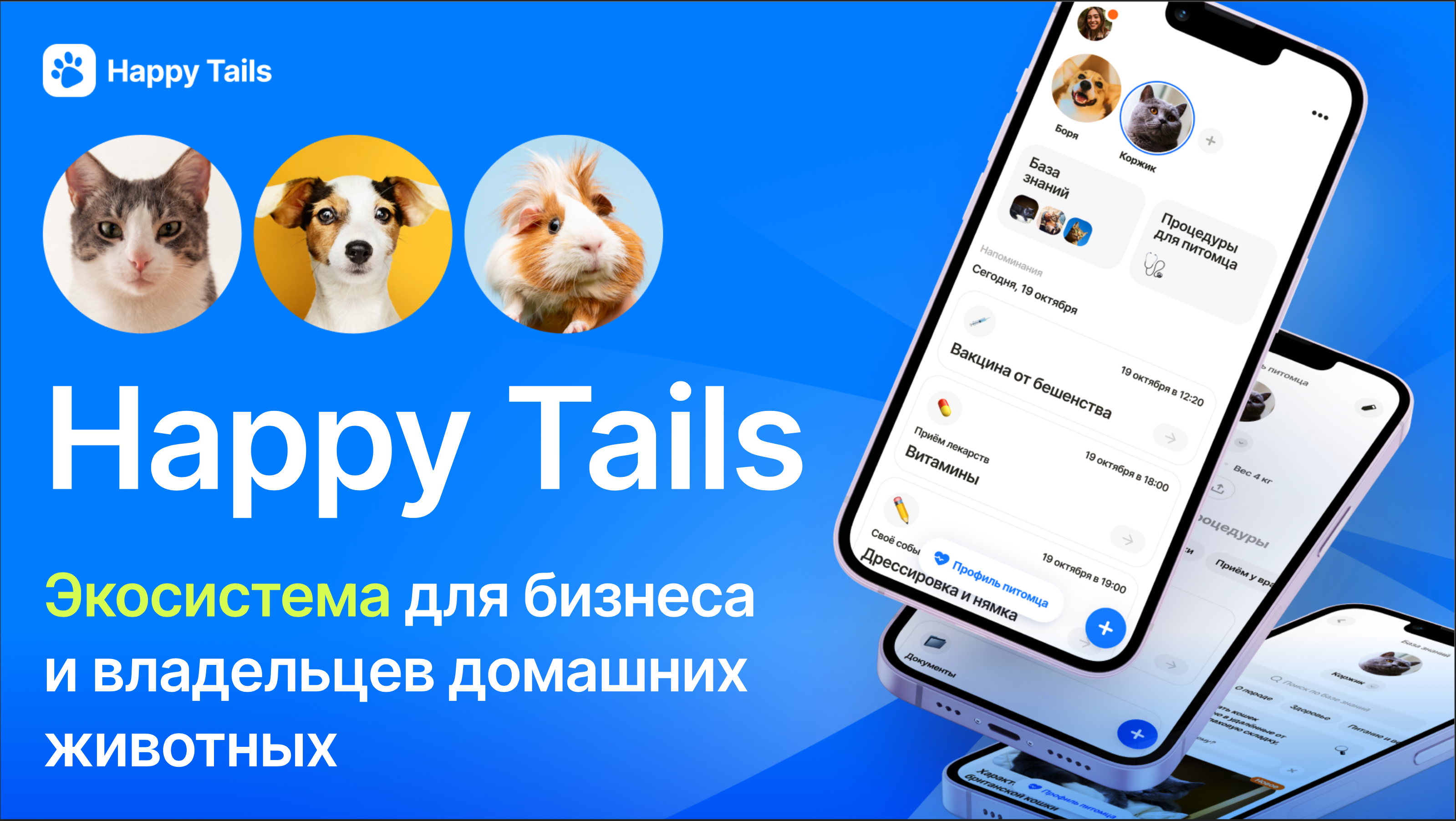 Проект HappyTails